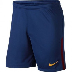 Pantaloni scurti barbati Nike FC Barcelona Stadium 847257-455 foto