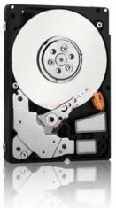 HDD Server Fujitsu S26361-F3708-L100 1TB @7200rpm, SATA II, 2.5inch, compatibil cu Primergy TX140 S1p, TX140 S2, TX300 S7 foto