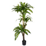 Cumpara ieftin Planta decorativa Dracaena I in ghiveci verde plastic PP H170 cm