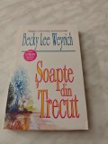 BECKY LEE WEYRICH: SOAPTE DIN TRECUT