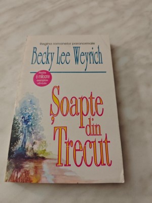 BECKY LEE WEYRICH: SOAPTE DIN TRECUT foto