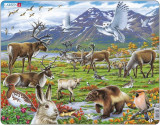 Puzzle 50 piese - Maxi - Flora and Fauna of the Arctic Tundra | Larsen