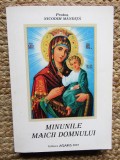 MINUNILE MAICII DOMNULUI - PROTOS. NICODIM MANDITA