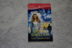 Ingerul intunericului - Sidney Sheldon - 2014 foto