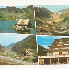 RF16 -Carte Postala- Muntii Fagaras, necirculata 1977