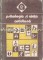 Foto  - 1