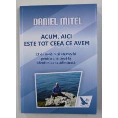 ACUM , AICI ESTE TOT CEEA CE AVEM de DANIEL MITEL , 2014