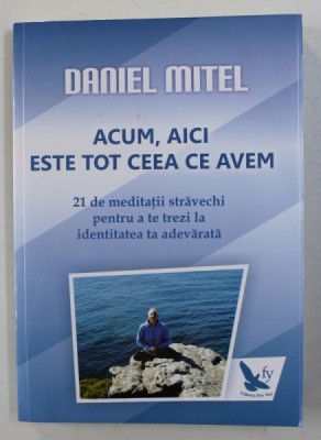 ACUM , AICI ESTE TOT CEEA CE AVEM de DANIEL MITEL , 2014 foto
