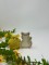 Foto  - 1