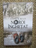Avital E. M. Baruch - Noroi inghetat IN TIPLA