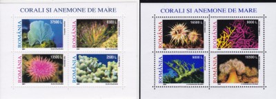 ROMANIA 2001/2002 LP 1570 a LP 1577 a CORALI SI ANEMONE BLOCURI DE 4 MARCI MNH foto