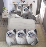 Lenjerie De Pat Liza Xf063, Bumbac, 4 Piese, Fara Elastic, Imprimeu