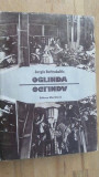 Oglinda- Jurgis Baltrusaitis