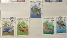 (A) Timbre straine serii tematica Fauna Pesti Ungaria