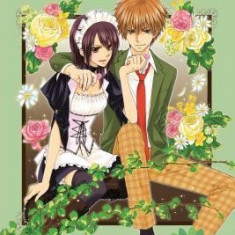 Maid-Sama! (2-In-1 Edition), Vol. 8: Includes Vols. 15 & 16