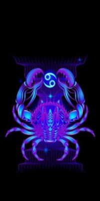 Husa Personalizata HUAWEI P20 Lite Rac 2 foto
