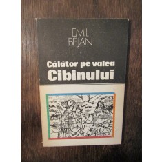 Călător pe Valea Cibinului - Emil Bejan