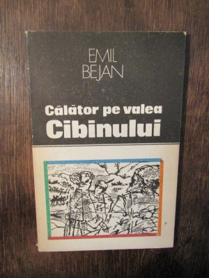 Călător pe Valea Cibinului - Emil Bejan foto