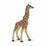 Cumpara ieftin Papo - Figurina Pui Girafa