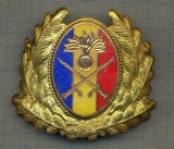 Y 1604 INSIGNA-MILITARA-EMBLEMA COIFURA- TRUPELE DE USCAT -PENTRU COLECTIONARI