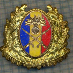 Y 1604 INSIGNA-MILITARA-EMBLEMA COIFURA- TRUPELE DE USCAT -PENTRU COLECTIONARI