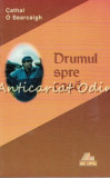 Drumul Spre Casa - Cathal O Searcaigh - Versuri (Ars Longa, 1998) - Roman