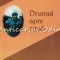 Drumul Spre Casa - Cathal O Searcaigh