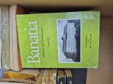 Banatia vintage