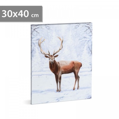 Tablou LED - cu ren - 2 baterii AA, 30 x 40 cm (58475) foto