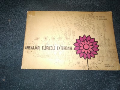 M TOPOR - AMENAJARI FLORICOLE EXTERIOARE foto