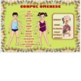 Plansa Corpul omenesc