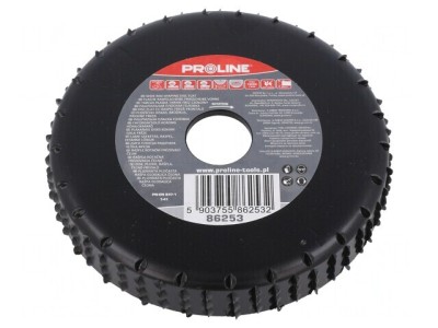 Grinding Wheel 120mm Flat with Rasp foto