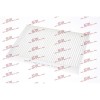 Filtru polen Nissan Kubistar (X76); Renault Clio 2 (BB), Clio 3 (BR0/1), Kangoo (KC0/1), Megane 1 (BA0/1), Megane Scenic (JA0/1), Thalia 1 (LB), , SR