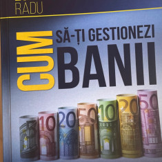 Cum sa gestionezi banii Radu Zgarcea