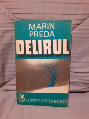 DELIRUL-MARIN PREDA foto