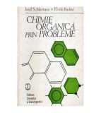 colectiv - Chimie organica prin probleme - 107168