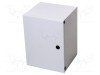 Carcasă montare pe perete HAMMOND 305x406x254mm IP66 gri oțel inoxidabil