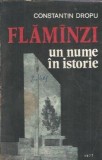 Carte Flamanzi Constantin Dropu Literatura Romana Editie Veche 1977 Carti Rare Colectie