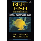 Reef Fish Identification: Florida Caribbean Bahamas