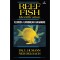 Reef Fish Identification: Florida Caribbean Bahamas
