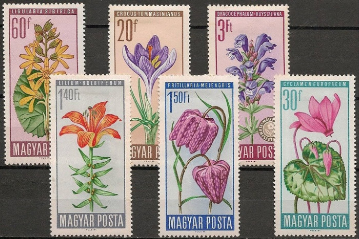 B1680 - Ungaria 1966 - Flora 6v.,neuzat,perfecta stare