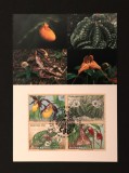 Plic Prima Zi FDC ONU Viena 1996 Specii Amenințate cu Extincția Flori Rare Cactuși Orhidee Bloc 4 Timbre - A992