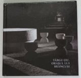 TARGU - JIU , ORASUL LUI BRANCUSI , 2013