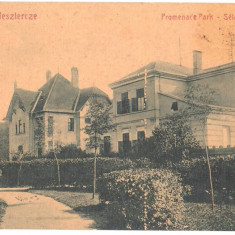 SV * Bistrita * PARCUL PROMENADEI * 1908