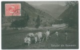 4535 - ETHNIC, Country Life, Romania - old postcard - used - 1914 - TCV