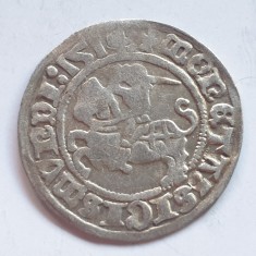Polonia 1/2 gros / groschen 1514 argint Sigismund l cel Bătr&acirc;n
