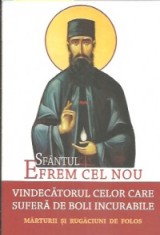 Sfantul Efrem Cel Nou, Vindecatorul Celor Care Sufera De Boli Incurabile, L. S. Desartovici - Editura Sophia