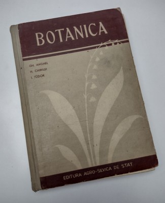 BOTANICA - Gh. Anghel, H. Chirilei, I. Tudor (Manual scolile tehnice de maistri) foto