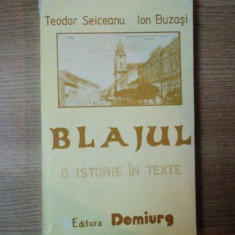 BLAJUL O ISTORIE IN TEXTE de TEODOR SEICEANU , ION BUZASI , 1993