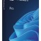 Win 11 pro fpp p2 32-bit/64-bit eng usb